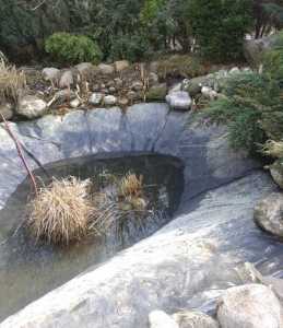 jak wyczyścić oczko wodne